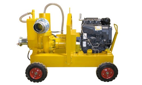 Domestic / Agri Pumps